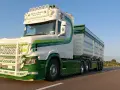 Biała Scania T z zielonymi pasami i napisem "Street Fighter" na tle błękitnego nieba.