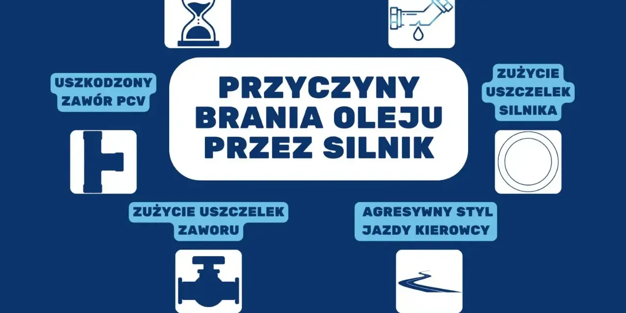 Grafika przedstawia przyczyny brania oleju przez silnik: zużycie uszczelek, nieszczelność, uszkodzony zawór PCV, agresywny styl jazdy i naturalne zużycie.