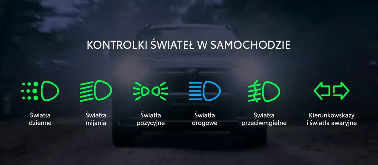 Ikony kontrolek świateł w samochodzie: dzienne, mijania, pozycyjne, drogowe, przeciwmgielne, kierunkowskazy i awaryjne.
