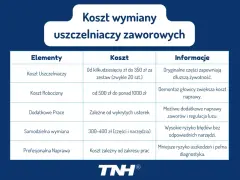 Tabela przedstawia koszt wymiany uszczelniaczy zaworowych, podając ceny części, robocizny i dodatkowych prac.