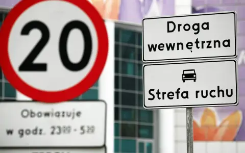 Znak ograniczenia prędkości do 20 km/h i tablica informująca o wjeździe do strefy ruchu.