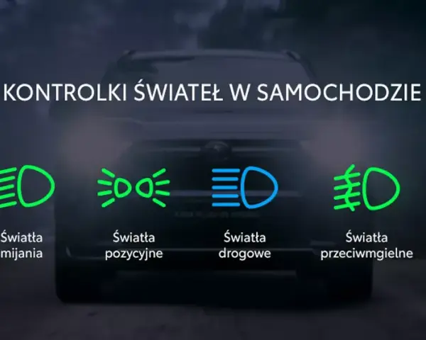 Ikony kontrolek świateł w samochodzie: dzienne, mijania, pozycyjne, drogowe, przeciwmgielne, kierunkowskazy i awaryjne.