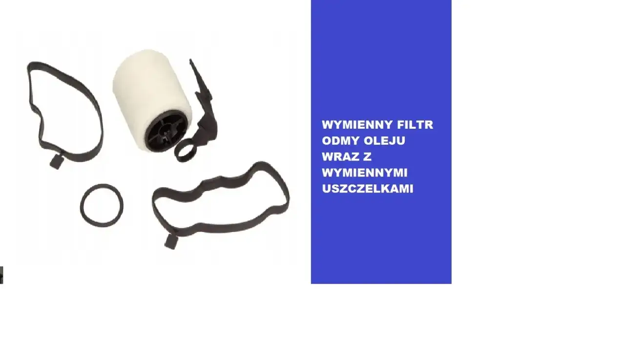 Zestaw do wymiany filtra odmy oleju: biały filtr i czarne uszczelki.